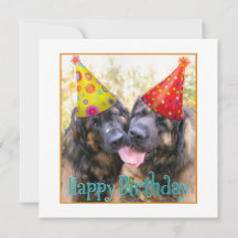 Leonberger Feliz cumpleaños