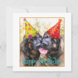 Tarjeta De Agradecimiento Leonberger Feliz cumpleaños