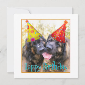 Tarjeta De Agradecimiento Leonberger Feliz cumpleaños