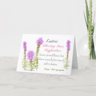 Tarjeta De Agradecimiento Liatris Blank Card