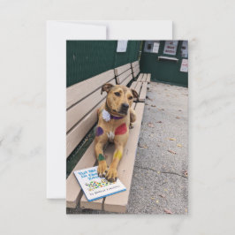 Tarjeta De Agradecimiento Libro de cosplay zoológico Funny Dog Photo Card