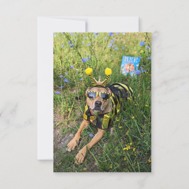 Tarjeta De Agradecimiento Libro de disfraces de abejas Funny Dog Photo Card (Anverso)