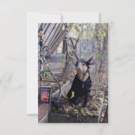 Tarjeta De Agradecimiento Libro de disfraces de brujas Funny Dog Photo Card