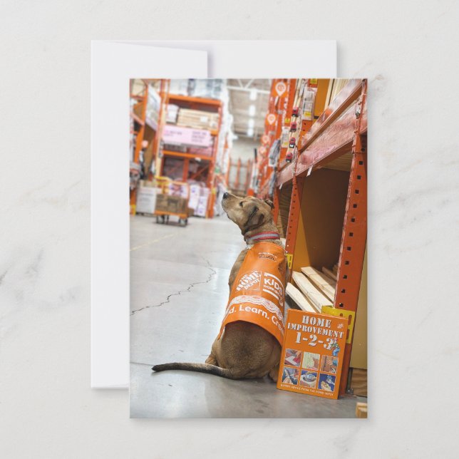 Tarjeta De Agradecimiento Libro de disfraces de Home Improvement Funny Dog P (Anverso)