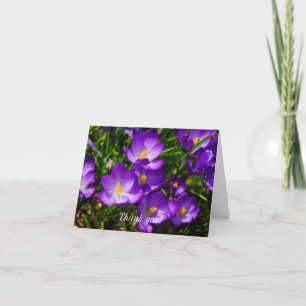 Tarjeta De Agradecimiento Lilac Crocuses