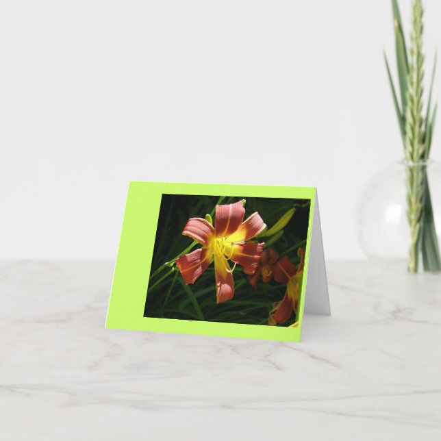 Tarjeta De Agradecimiento Lily (Anverso)