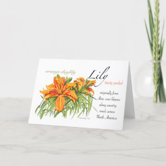 Tarjeta De Agradecimiento Lily Blank Card