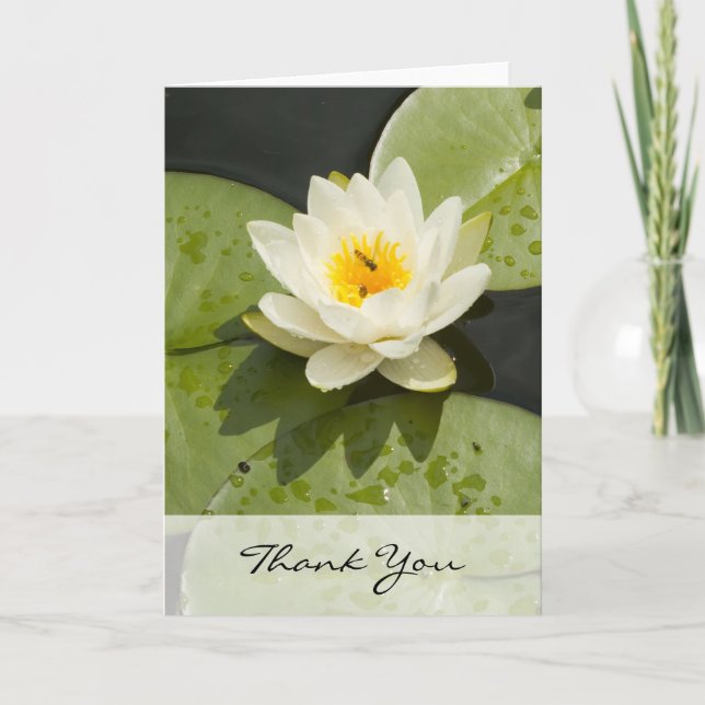 Tarjeta De Agradecimiento Lily Pads y White Lotus Flower Card (Anverso)