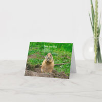Lindo Perrito de la Pradera de Cola Negra