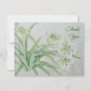 Tarjeta De Agradecimiento Lirio blanco