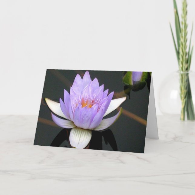 Tarjeta De Agradecimiento Lirio de agua de lavanda (Anverso)