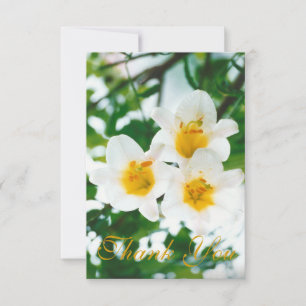 Tarjeta De Agradecimiento Lirios blancos rústicos - Lilium candidum