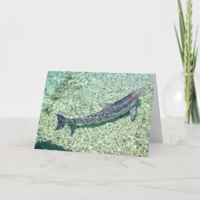 Tarjeta De Agradecimiento Llano curvado del delfín bajo el agua modificado (Anverso)