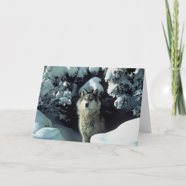 Tarjeta De Agradecimiento Lobo en la nieve (Anverso)