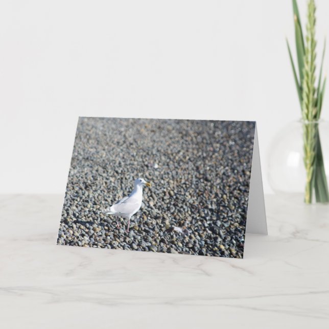 Tarjeta De Agradecimiento Lone Seagull Blank (Anverso)