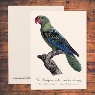 Tarjeta De Agradecimiento Loricato de Pico Grande, Tanygnathus Megalorynchos