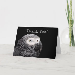 Tarjeta De Agradecimiento Loro gris africano