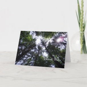 Tarjeta De Agradecimiento Los árboles de los bosques y el sol