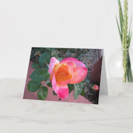 Tarjeta De Agradecimiento Los colores de la primavera le agradecen cardar