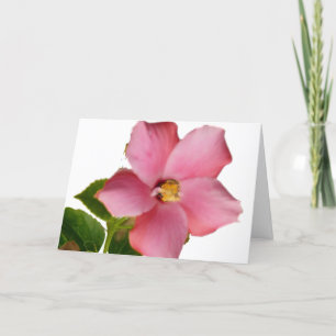 Tarjeta De Agradecimiento Los hibiscos le agradecen cardar en francés