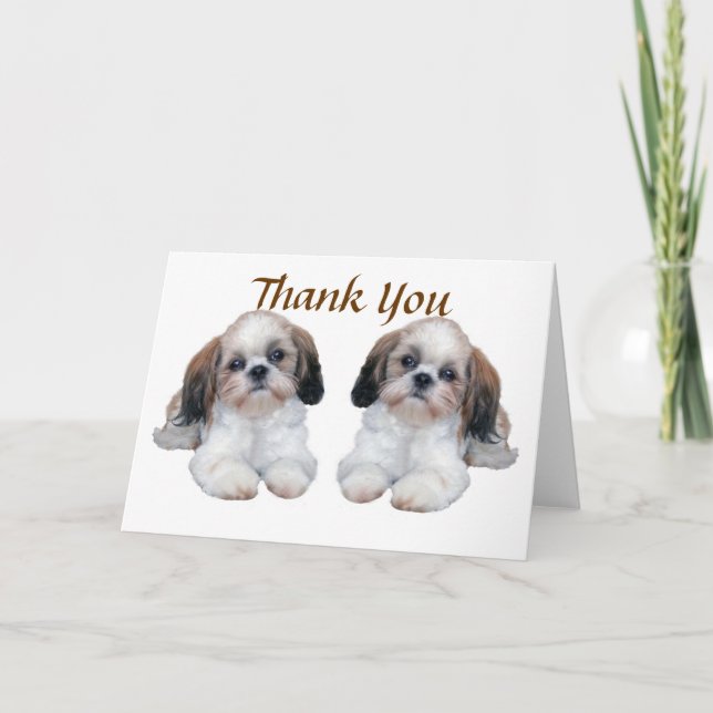 Tarjeta De Agradecimiento Los perritos de Shih Tzu le agradecen cardar (Anverso)