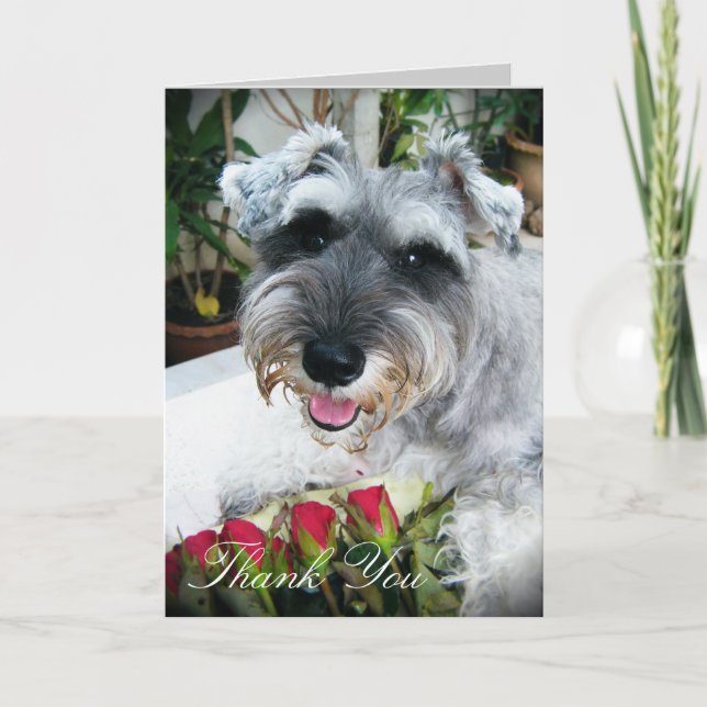 Tarjeta De Agradecimiento Los rosas para usted - gracias (Anverso)