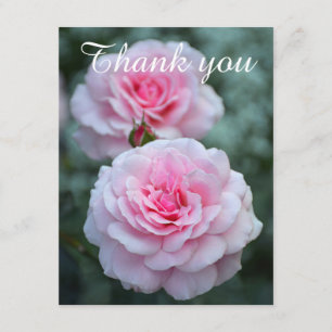 Tarjeta De Agradecimiento Los rosas rosados le agradecen
