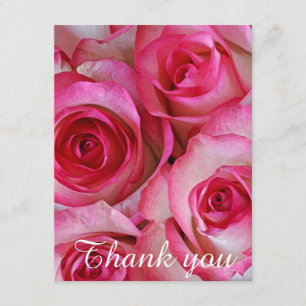 Tarjeta De Agradecimiento Los rosas rosados le agradecen