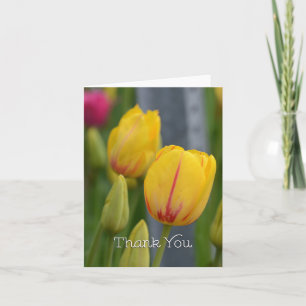 Tarjeta De Agradecimiento Los tulipanes amarillos y rojos le agradecen