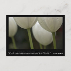 Tarjetas Tulipanes | Zazzle.es