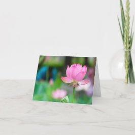 Tarjeta De Agradecimiento Lotus All Ochase Notecard