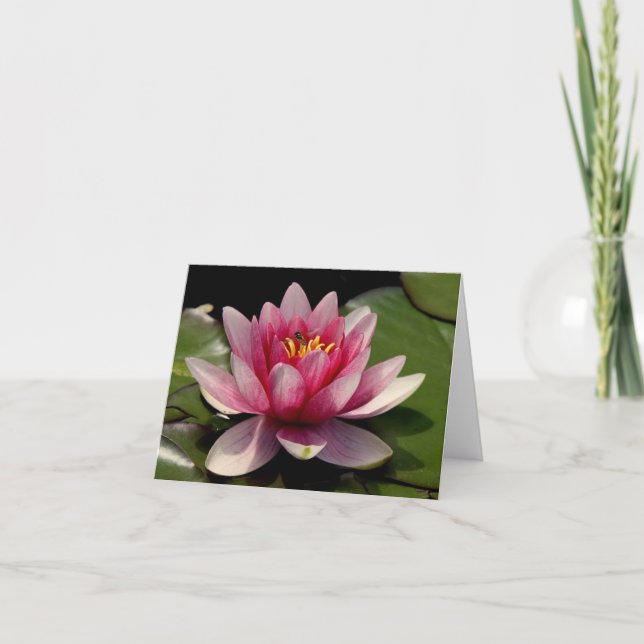 Tarjeta De Agradecimiento Lotus All Ochase Notecard (Anverso)