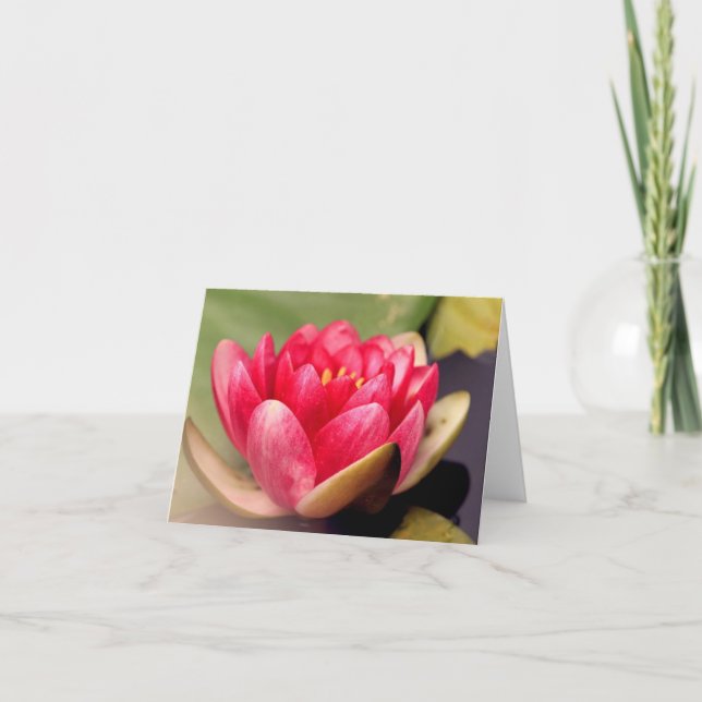 Tarjeta De Agradecimiento Lotus All Ochase Notecard (Anverso)