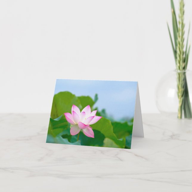 Tarjeta De Agradecimiento Lotus All Ochase Notecard (Anverso)