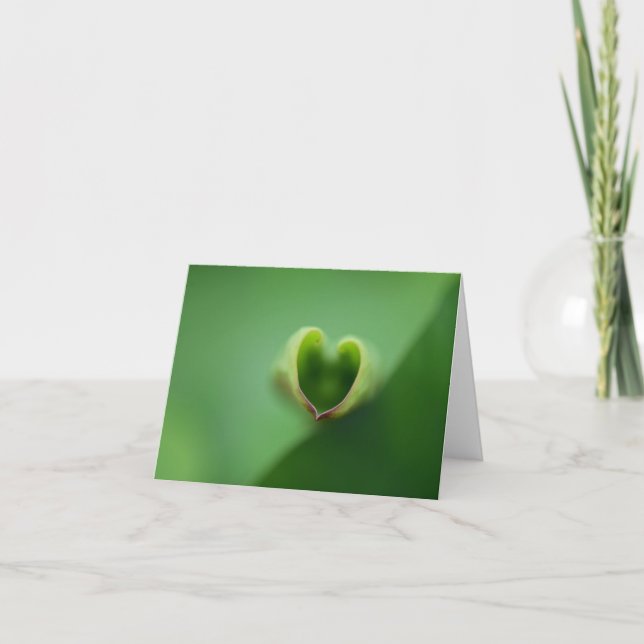 Tarjeta De Agradecimiento Lotus All Ochase Notecard (Anverso)