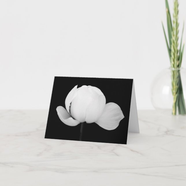 Tarjeta De Agradecimiento Lotus Bud (Anverso)