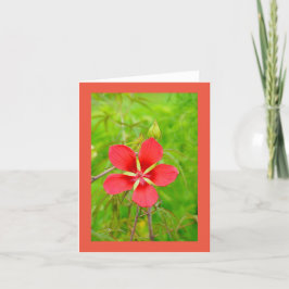 Tarjeta De Agradecimiento Lotus Floral Notecard