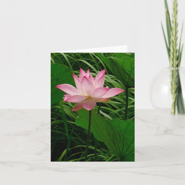 Tarjeta De Agradecimiento Lotus Notecard (Anverso)