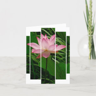 Tarjeta De Agradecimiento Lotus Notecard