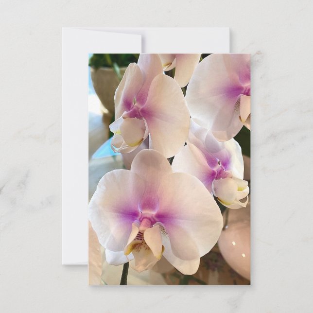 Tarjeta De Agradecimiento Lovely Orquídeas (Anverso)