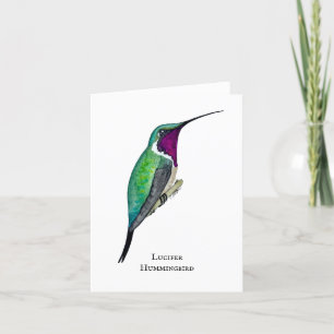 Tarjeta De Agradecimiento Lucifer Hummingbird