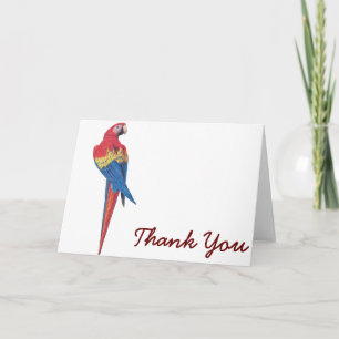 Tarjeta De Agradecimiento Macaw rojo