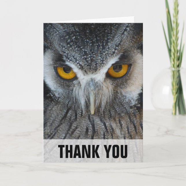 Tarjeta De Agradecimiento Macro Black and White Owl Thank You Card (Anverso)