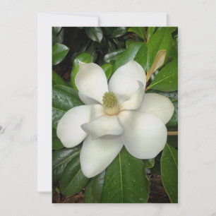 Tarjeta De Agradecimiento Magnolia del Sur