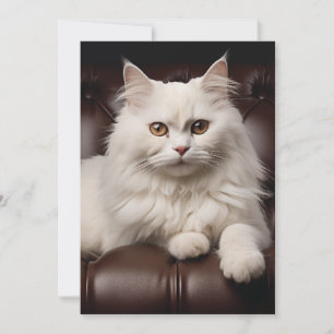 Tarjeta De Agradecimiento Majestuoso gato blanco
