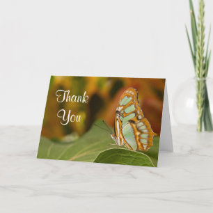 Tarjeta De Agradecimiento Malachite Butterfly Thank you Card