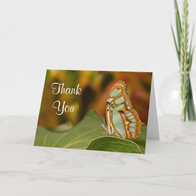 Tarjeta De Agradecimiento Malachite Butterfly Thank you Card (Anverso)
