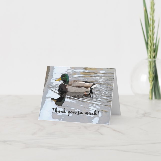 Tarjeta De Agradecimiento Mallard Drake Poster (Anverso)