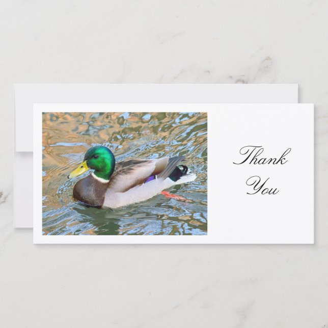Tarjeta De Agradecimiento Mallard Duck - Gracias (Anverso)