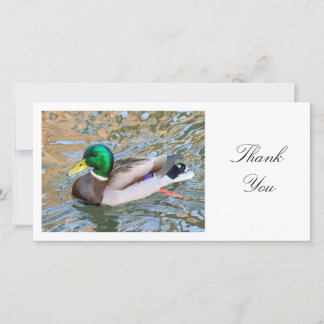 Tarjeta De Agradecimiento Mallard Duck - Gracias